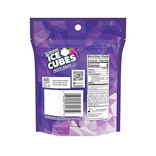 Arctic Grape Sugar-Free Chewing Gum for Kids, 8.11 oz (100 Pieces)